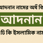 আদনান নামের অর্থ কি? এটি কি ইসলামিক নাম?