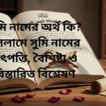 সুমি নামের অর্থ কি? ইসলামে সুমি নামের উৎপত্তি, বৈশিষ্ট্য ও বিস্তারিত বিশ্লেষণ