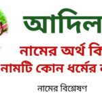 আদিল নামের অর্থ কি?