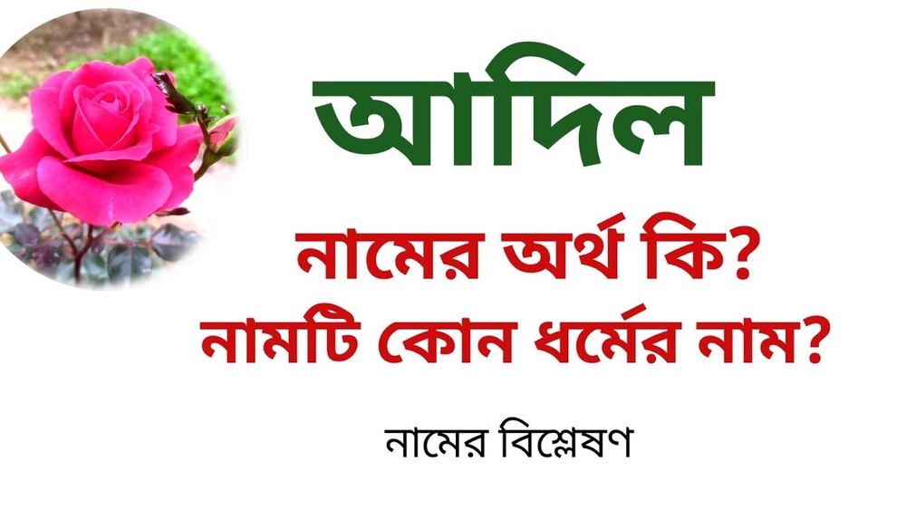 আদিল নামের অর্থ কি?